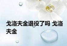 戈洛夫金退役了吗 戈洛夫金 