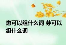 惠可以组什么词 芽可以组什么词 