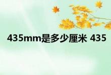 435mm是多少厘米 435 