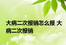 大病二次报销怎么报 大病二次报销 