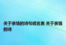 关于亲情的诗句或名言 关于亲情的诗 