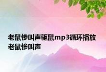 老鼠惨叫声驱鼠mp3循环播放 老鼠惨叫声 