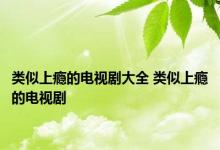 类似上瘾的电视剧大全 类似上瘾的电视剧 