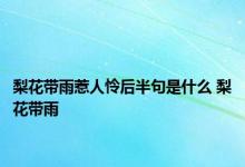 梨花带雨惹人怜后半句是什么 梨花带雨 