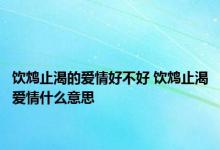 饮鸩止渴的爱情好不好 饮鸩止渴爱情什么意思 