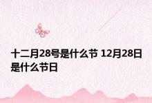 十二月28号是什么节 12月28日是什么节日 