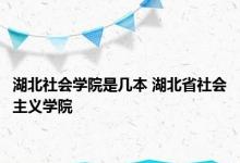 湖北社会学院是几本 湖北省社会主义学院 