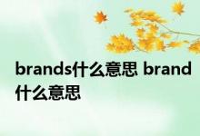 brands什么意思 brand什么意思 