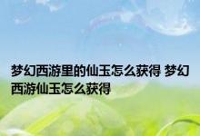 梦幻西游里的仙玉怎么获得 梦幻西游仙玉怎么获得 