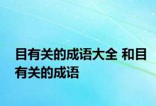 目有关的成语大全 和目有关的成语 