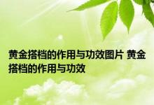 黄金搭档的作用与功效图片 黄金搭档的作用与功效 