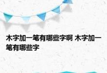 木字加一笔有哪些字啊 木字加一笔有哪些字 