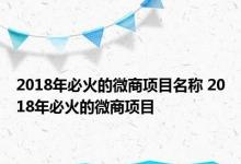 2018年必火的微商项目名称 2018年必火的微商项目 