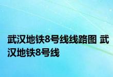 武汉地铁8号线线路图 武汉地铁8号线 