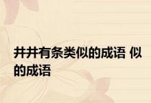 井井有条类似的成语 似的成语 