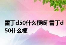 雷丁d50什么梗啊 雷丁d50什么梗 