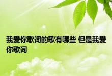 我爱你歌词的歌有哪些 但是我爱你歌词 