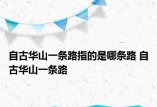 自古华山一条路指的是哪条路 自古华山一条路 