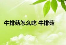 牛排菇怎么吃 牛排菇 