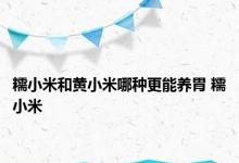 糯小米和黄小米哪种更能养胃 糯小米 