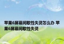 苹果6屏幕间歇性失灵怎么办 苹果6屏幕间歇性失灵 