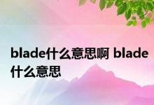 blade什么意思啊 blade什么意思 