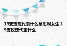 19支玫瑰代表什么意思啊女生 19支玫瑰代表什么 