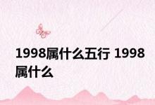 1998属什么五行 1998属什么 