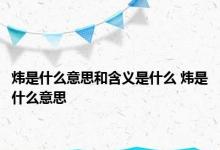 炜是什么意思和含义是什么 炜是什么意思 