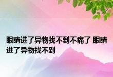 眼睛进了异物找不到不痛了 眼睛进了异物找不到 