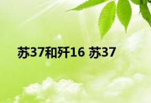 苏37和歼16 苏37 