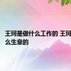 王珂是做什么工作的 王珂是做什么生意的 