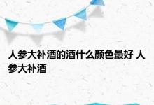 人参大补酒的酒什么颜色最好 人参大补酒 