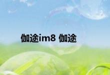 伽途im8 伽途 