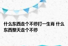 什么东西走个不停打一生肖 什么东西整天走个不停 