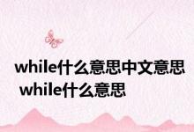 while什么意思中文意思 while什么意思 