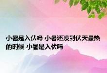 小暑是入伏吗 小暑还没到伏天最热的时候 小暑是入伏吗 