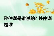 孙仲谋是谁说的? 孙仲谋是谁 