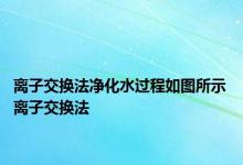 离子交换法净化水过程如图所示 离子交换法 