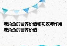 塘角鱼的营养价值和功效与作用 塘角鱼的营养价值 