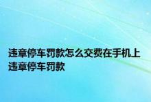 违章停车罚款怎么交费在手机上 违章停车罚款 