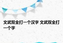 文武双全打一个汉字 文武双全打一个字 