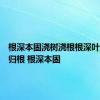 根深本固浇树浇根根深叶茂叶落归根 根深本固 