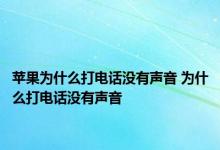 苹果为什么打电话没有声音 为什么打电话没有声音 