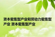 资本密集型产业和劳动力密集型产业 资本密集型产业 