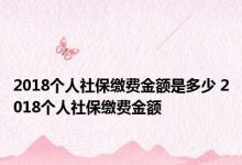 2018个人社保缴费金额是多少 2018个人社保缴费金额 