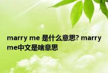 marry me 是什么意思? marryme中文是啥意思 