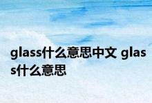 glass什么意思中文 glass什么意思 