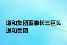 道和集团董事长三巨头 道和集团 