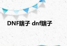 DNF瞎子 dnf瞎子 